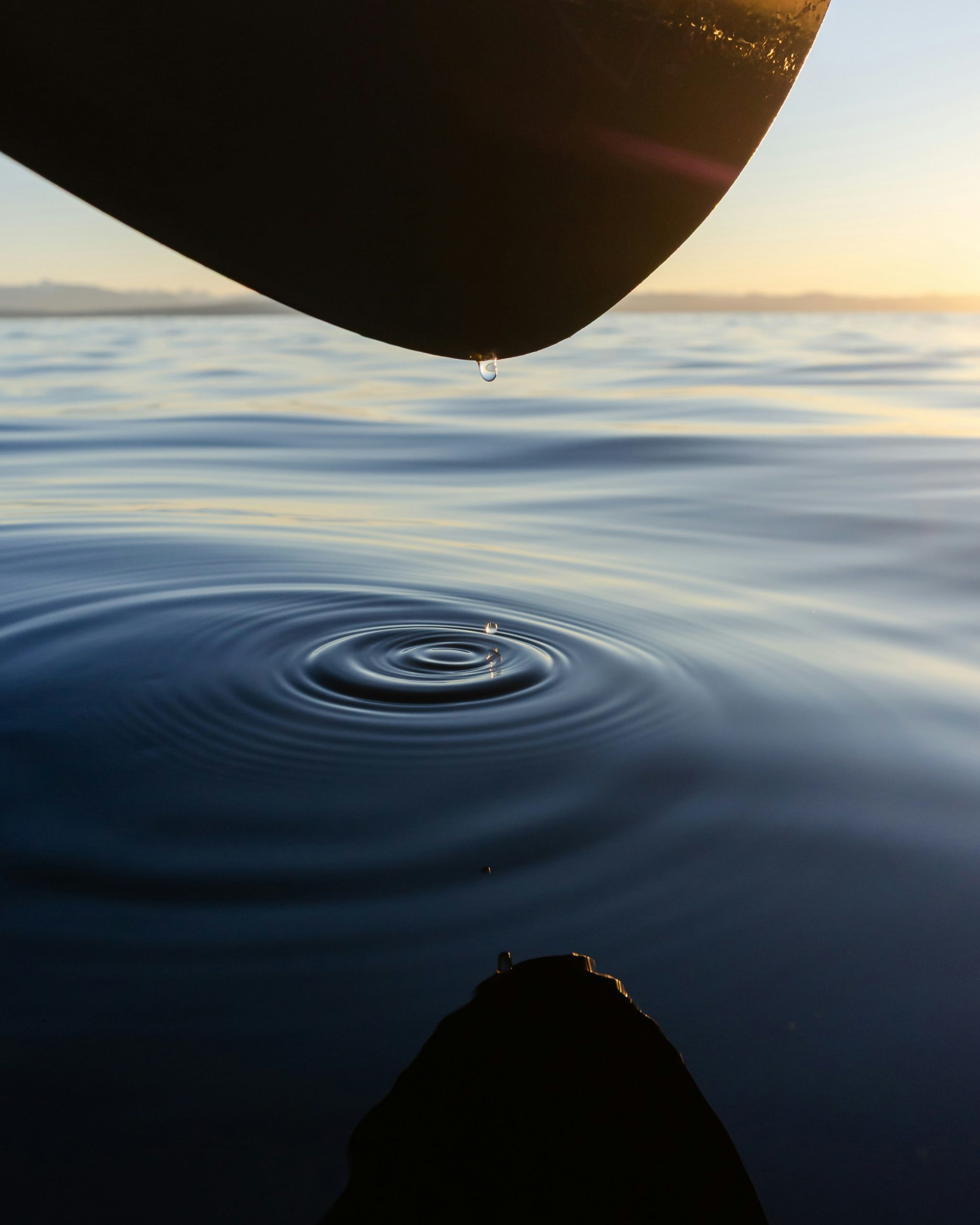 Float Away Stress by Laura Adlam